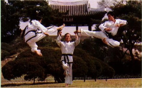 taekwondocul.jpg